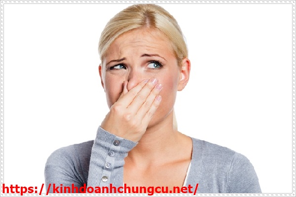 nguy&ecirc;n nh&acirc;n khiến bồn rửa b&aacute;t bốc m&ugrave;i h&ocirc;i