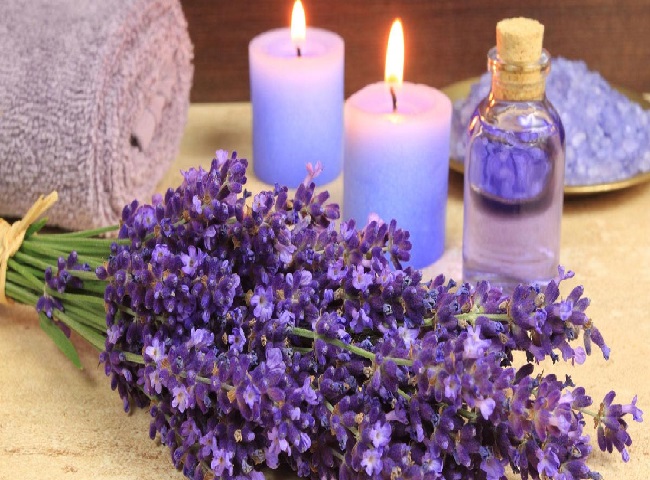 Tinh dầu oải hương Lavender