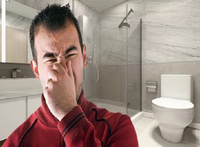 Nguyên nhân gây ra mùi hôi nhà vệ sinh