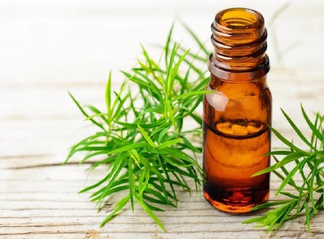 Tinh dầu Tràm Trà